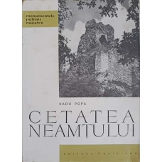 CETATEA NEAMTULUI