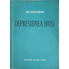 DEPRESIUNEA HUSI