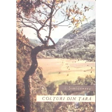 COLTURI DIN TARA