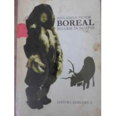 BOREAL BUCURIE IN NOAPTE