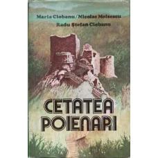CETATEA POIENARI