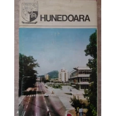 HUNEDOARA. MONOGRAFIE