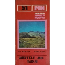 MUNTELE MIC-TARCU (HARTA LIPSA)