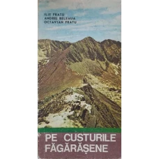 PE CUSTURILE FAGARASENE