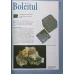 REVISTA COMORILE PAMANTULUI NR.1-100. O COLECTIE UNICA DE MINERALE, ROCI SI PIETRE SEMIPRETIOASE. 4 BIBLIORAFTURI