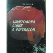 UIMITOAREA LUME A PIETRELOR
