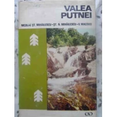 VALEA PUTNEI CU PRIVIRE SPECIALA ASUPRA VRANCEI