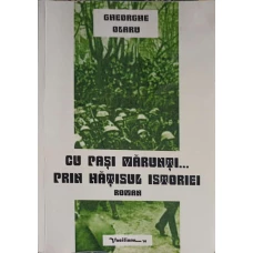 CU PASI MARUNTI... PRIN HATISUL ISTORIEI