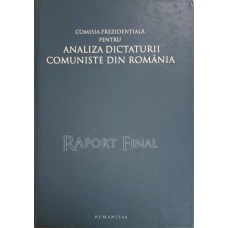 RAPORT FINAL