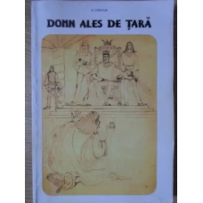 DOMN ALES DE TARA SI DIN SANUL EI. CRONICA DE PAGINI DE ISTORIE