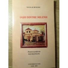 IASII DINTRE MILENII. PICTURA SI GRAFICA DAN HATMANU