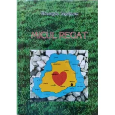 MICUL REGAT. VERSURI