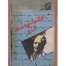 MORMINTE VII