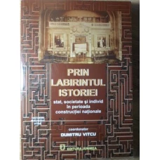 PRIN LABIRINTUL ISTORIEI. STAT, SOCIETATE SI INDIVID IN PERIOADA CONSTRUCTIEI NATIONALE
