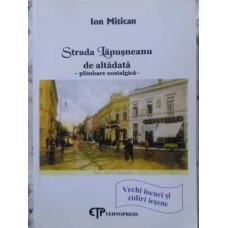 STRADA LAPUSNEANU DE ALTADATA, PLIMBARE NOSTALGICA