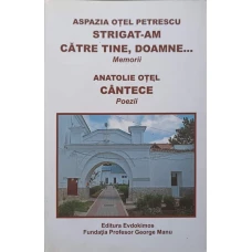 STRIGAT-AM CATRE TINE, DOAMNE... MEMORII; CANTECE, POEZII