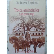 TROICA AMINTIRILOR SUB PATRU REGI