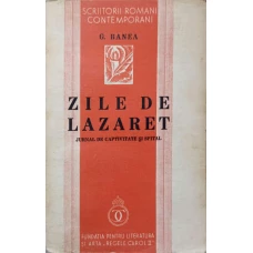 ZILE DE LAZARET. JURNAL DE CAPTIVITATE SI SPITAL