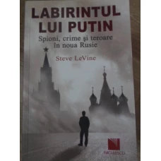 LABIRINTUL LUI PUTIN. SPIONI, CRIME SI TEROARE IN NOUA RUSIE