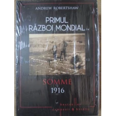 PRIMUL RAZBOI MONDIAL. SOMME 1916