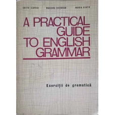 A PRACTICAL GUIDE TO ENGLISH GRAMMAR. EXERCITII DE GRAMATICA