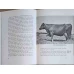 DANISH AGRICULTURE. DENMARK AS A FOOD PRODUCER