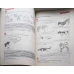 DEUTSCH MIT SPASS. MANUAL DE LIMBA GERMANA PENTRU CLASA A V-A