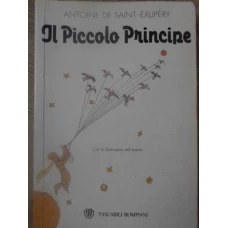 IL PICCOLO PRINCIPE