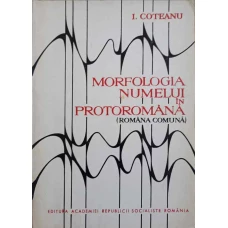 MORFOLOGIA NUMELUI IN PROTOROMANA (ROMANA COMUNA)