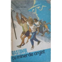 BASTONUL CU MANER DE ARGINT BASTONUL CU MANER DE ARGINT