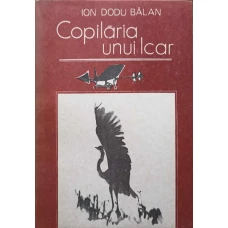 COPILARIA UNUI ICAR. LA UN VEAC DE LA NASTEREA LUI AUREL VLAICU