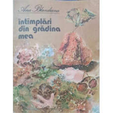 INTAMPLARI DIN GRADINA MEA. ILUSTRATII DOINA BOTEZ
