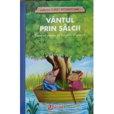 VANTUL PRIN SALCII