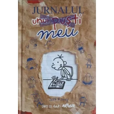 JURNALUL UNUI PUSTI: JURNALUL MEU