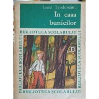 IN CASA BUNICILOR IN CASA BUNICILOR