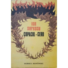 COPACUL-CERB