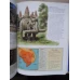 DE LA EPOCA DE PIATRA LA ERA SPATIALA. ENCICLOPEDIE ISTORICA ILUSTRATA