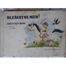 DI, CALUTUL MEU!