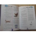 DICTIONARUL LIMBII ROMANE PENTRU CLASELE I-IV