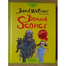 DOMNUL SCONCS