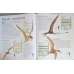 ENCICLOPEDIA DINOZAURILOR
