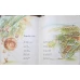 INTAMPLARI DIN GRADINA MEA. ILUSTRATII DOINA BOTEZ