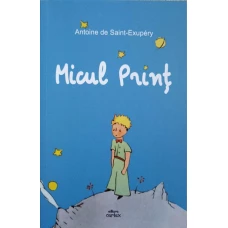 MICUL PRINT