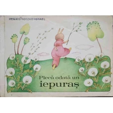 PLECA ODATA UN IEPURAS