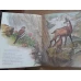 TOUS LES ANIMAUX QUE J'AIME (FULL COLOR)