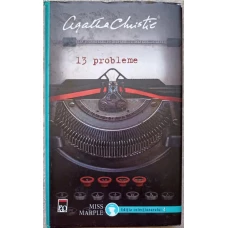 13 PROBLEME
