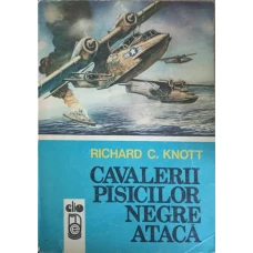 CAVALERII PISICILOR NEGRE ATACA