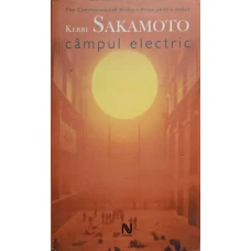 CAMPUL ELECTRIC