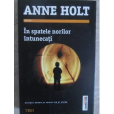 IN SPATELE NORILOR INTUNECATI. O NOUA ANCHETA A LUI VIK SI STUBO