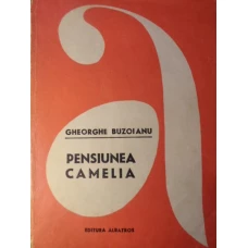 PENSIUNEA CAMELIA